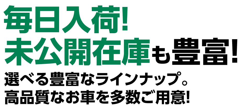 毎日入荷！未公開在庫も豊富！選べる豊富なラインナップ。高品質なお車を多数ご用意！